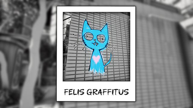 Image for the game Cat Me If You Can