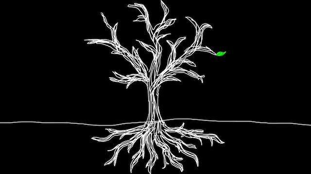 Image for the game Century of Anticipation