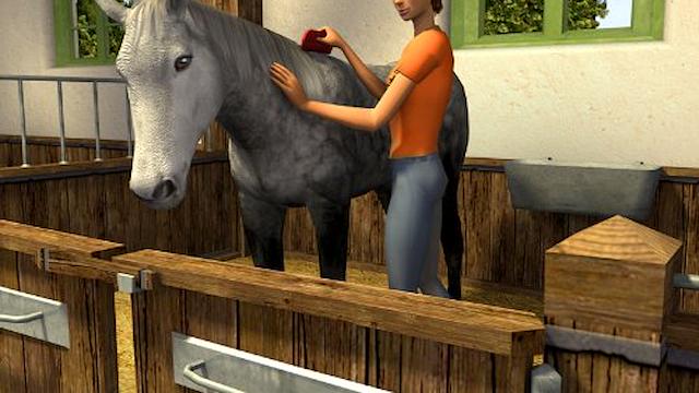 Image for the game Championship Riding Star