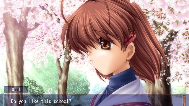 Image for the game Clannad