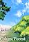 Cover image for the game Colors/Forest