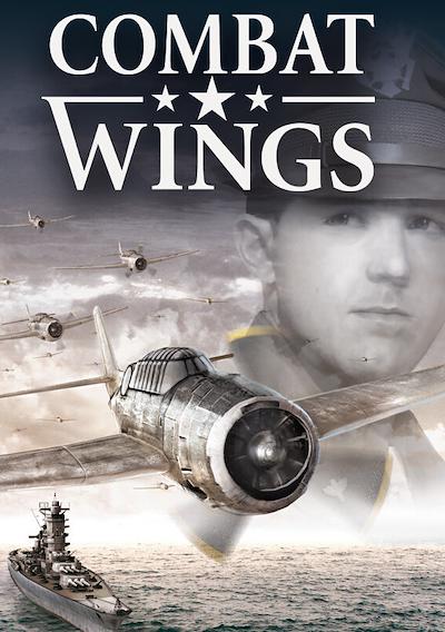 Cover image for the game Combat Wings