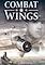 Cover image for the game Combat Wings