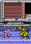Cover image for the game Console Archives: Ninja Gaiden II - The Dark Sword of Chaos