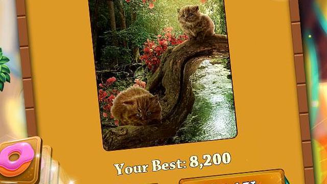Image for the game Cool Cats