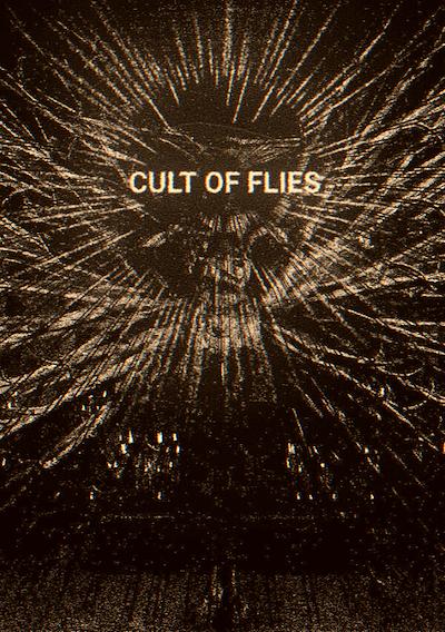Cover image for the game Cult of Flies