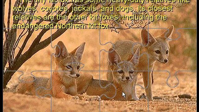 Image for the game David Bellamy's Endangered Wildlife