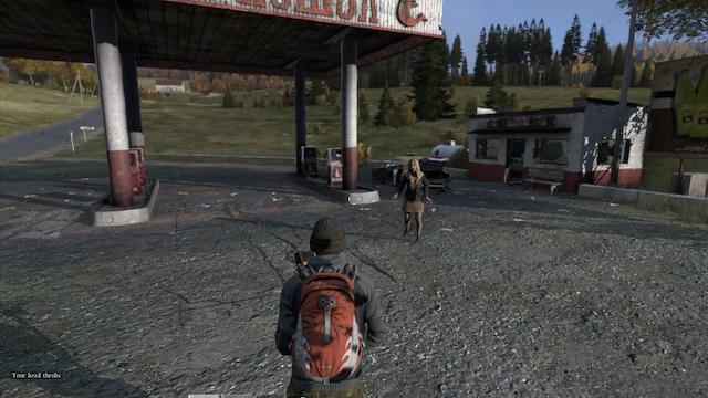 Image for the game DayZ