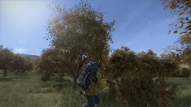 Image for the game DayZ