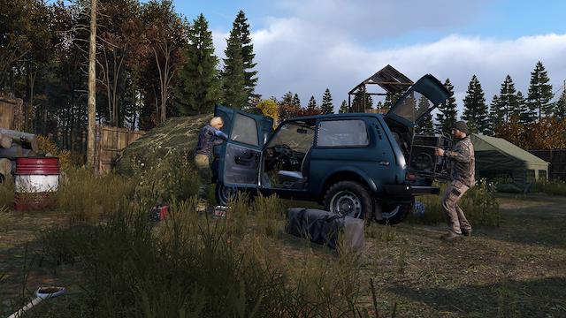 Image for the game DayZ