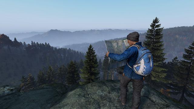 Image for the game DayZ