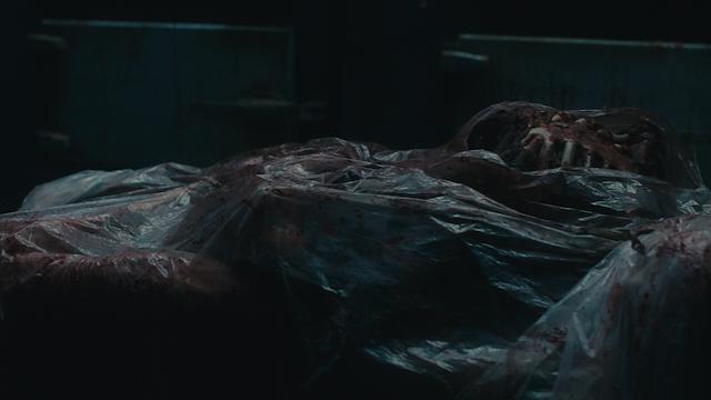 Image for the game Dead Reset
