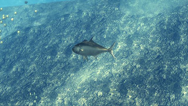 Image for the game Depth Hunter