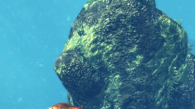 Image for the game Depth Hunter