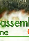 Cover image for the game Disassembly Line