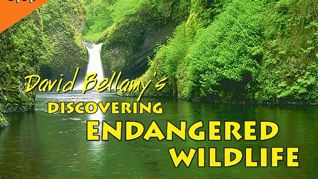 Image for the game Discovering Endangered Wildlife