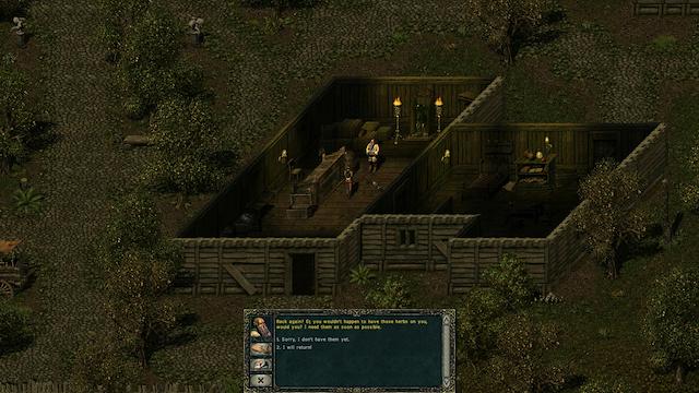 Image for the game Divine Divinity