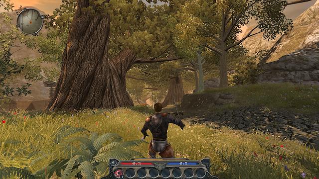 Image for the game Divinity II: Ego Draconis