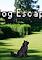 Cover image for the game Dog Escape
