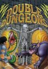 Cover image for the game Double Dungeons