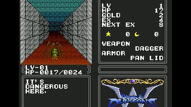 Image for the game Double Dungeons