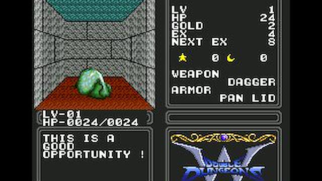 Image for the game Double Dungeons