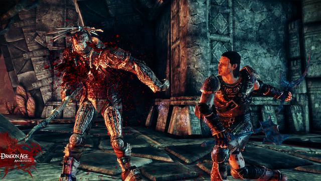 Image for the game Dragon Age: Origins - Awakening
