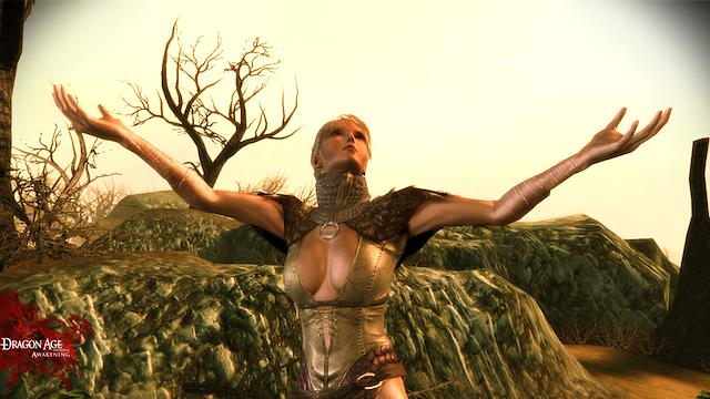 Image for the game Dragon Age: Origins - Awakening