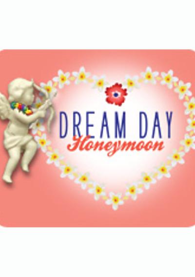 Cover image for the game Dream Day: Honeymoon