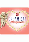 Cover image for the game Dream Day: Honeymoon