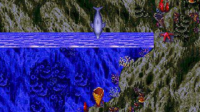 Image for the game Ecco the Dolphin