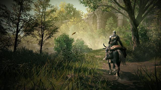Image for the game Elden Ring: Shadow of the Erdtree