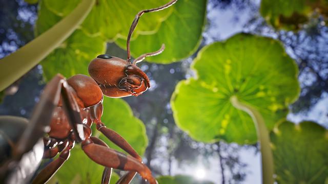 Image for the game Empire of the Ants