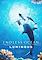 Cover image for the game Endless Ocean: Luminous