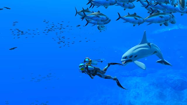 Image for the game Endless Ocean: Luminous