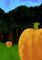 Cover image for the game Evelyn's Farm
