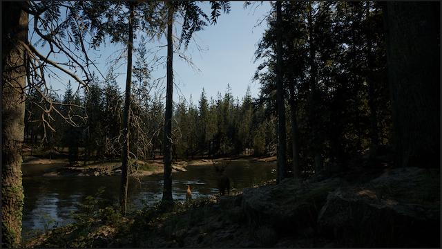 Image for the game Evergreen: Mountain Life Simulator