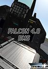 Cover image for the game Falcon BMS
