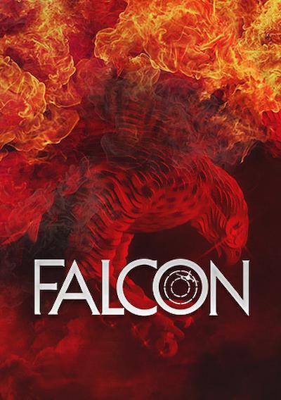 Cover image for the game Falcon