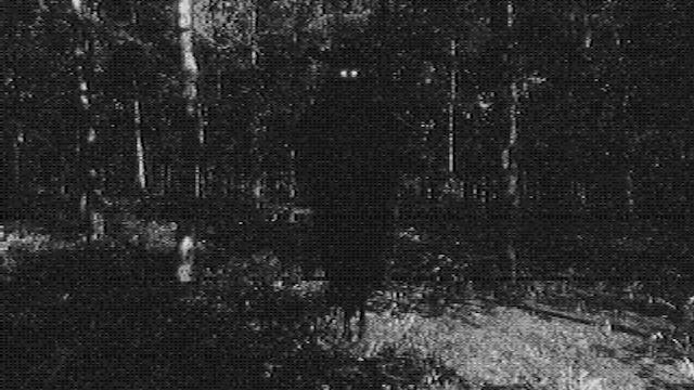 Image for the game Fallgrade