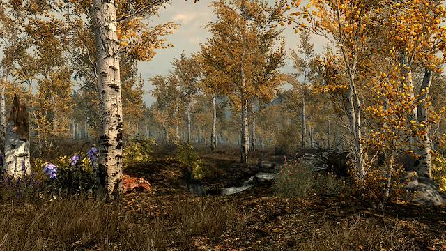Image for the game Falskaar