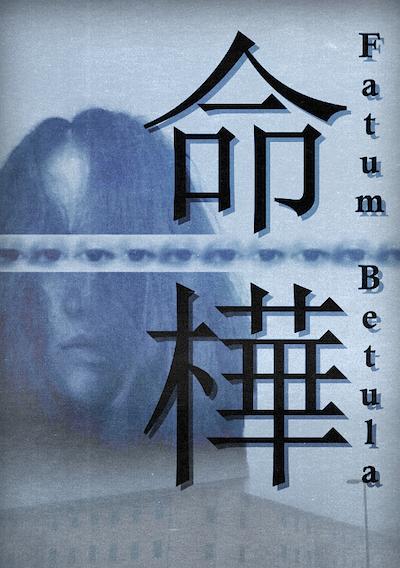 Cover image for the game Fatum Betula