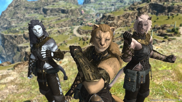 Image for the game Final Fantasy XIV: Dawntrail