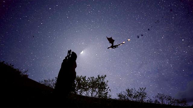 Image for the game Fire: The First Dreamer