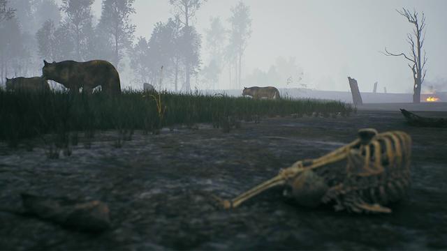 Image for the game Fire: The First Dreamer