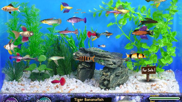 Image for the game Fish Tycoon