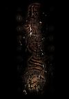Cover image for the game Flesh