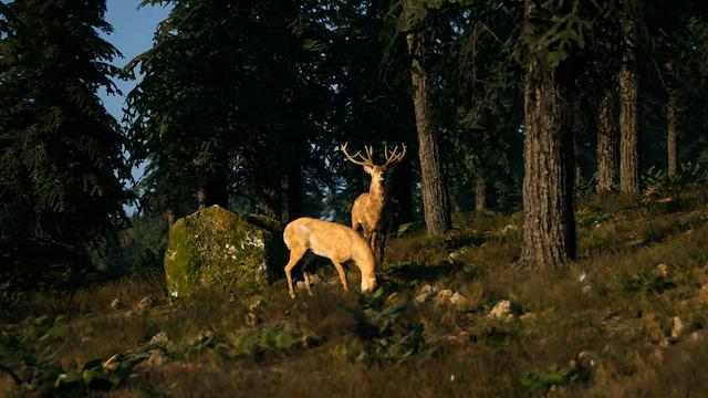 Image for the game Flex Disc Golf