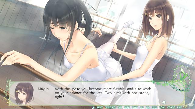 Image for the game Flowers: Le Volume sur Printemps