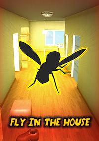 Cover image for the game Fly in the House